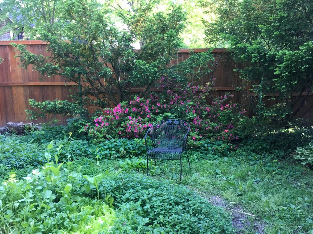 My Chair: My&nbsp;Stillness