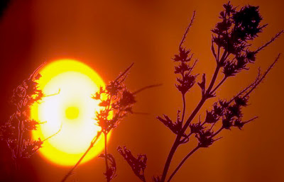 0FE1E37B-9AD9-4A71-972E-C8C1FC63D379-1714-00000196AE5DAEFA