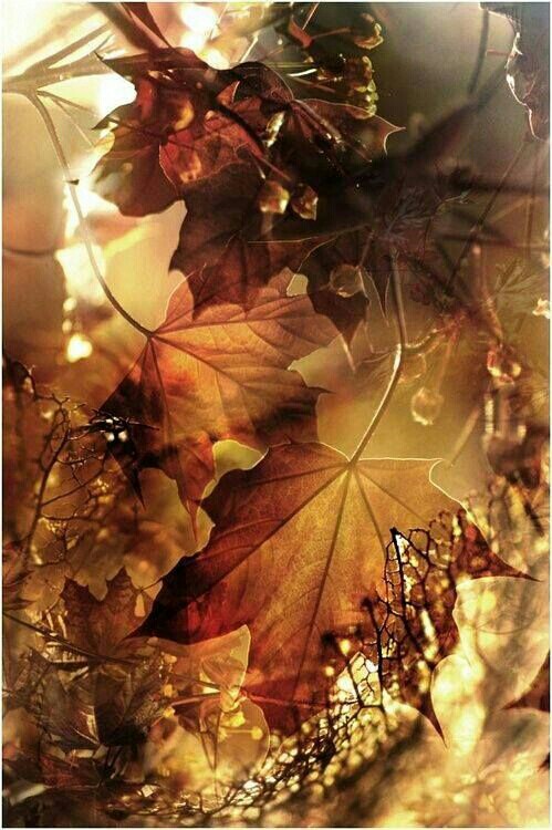 fd3b116b6fd688aaee2afff3dbd3582d