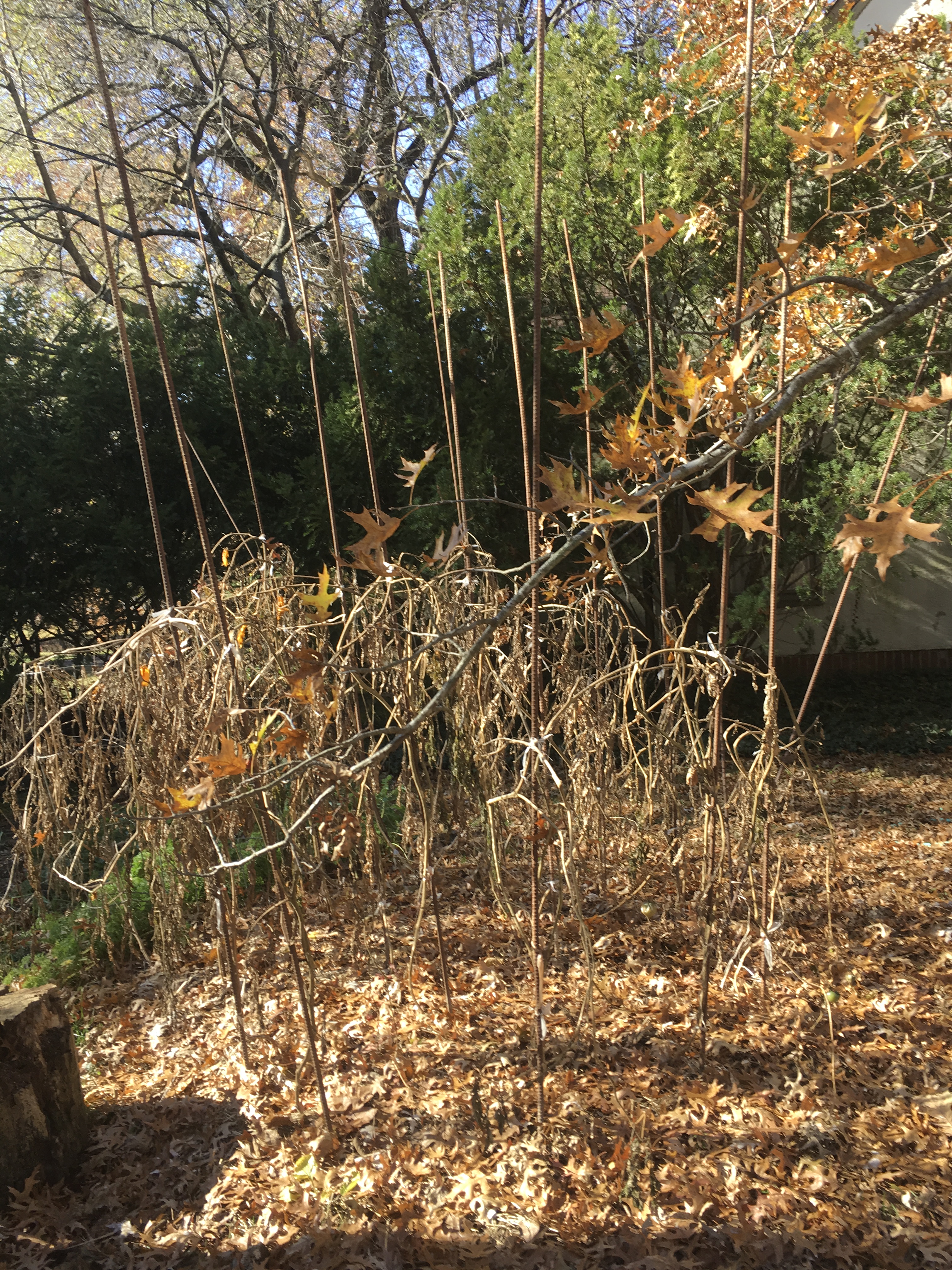 399D6FDE-945B-480F-8C5E-27F0EA426F3B