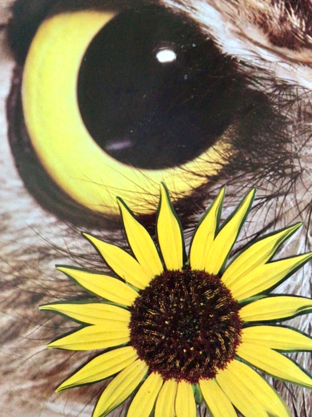 MOON ATE THE DARK CHALLENGE: MOON EATS THE DARK – BARBARA&nbsp;LEONHARD