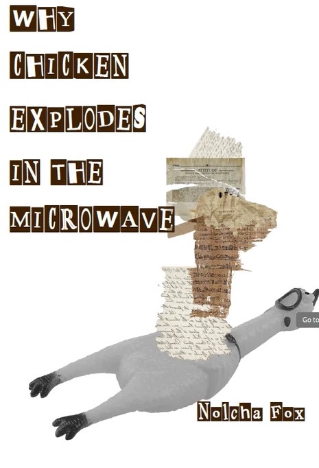“‘Why Chicken Explodes in the Microwave’ by Nolcha Fox: A Review” by Barbara Leonhard