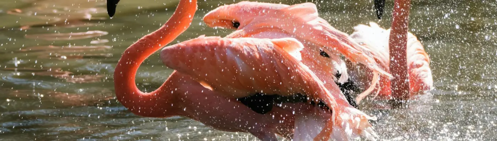 ”Sonnet to Grief” is up on&nbsp;Chewers!