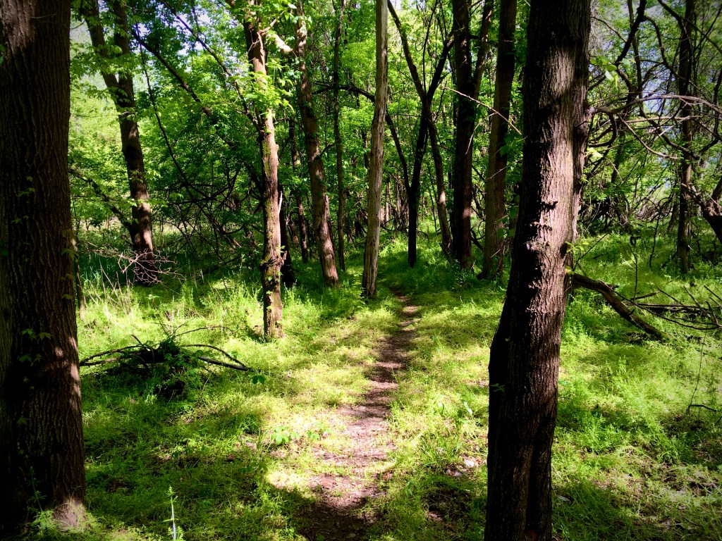 “Follow Me” is up on Collaborature!