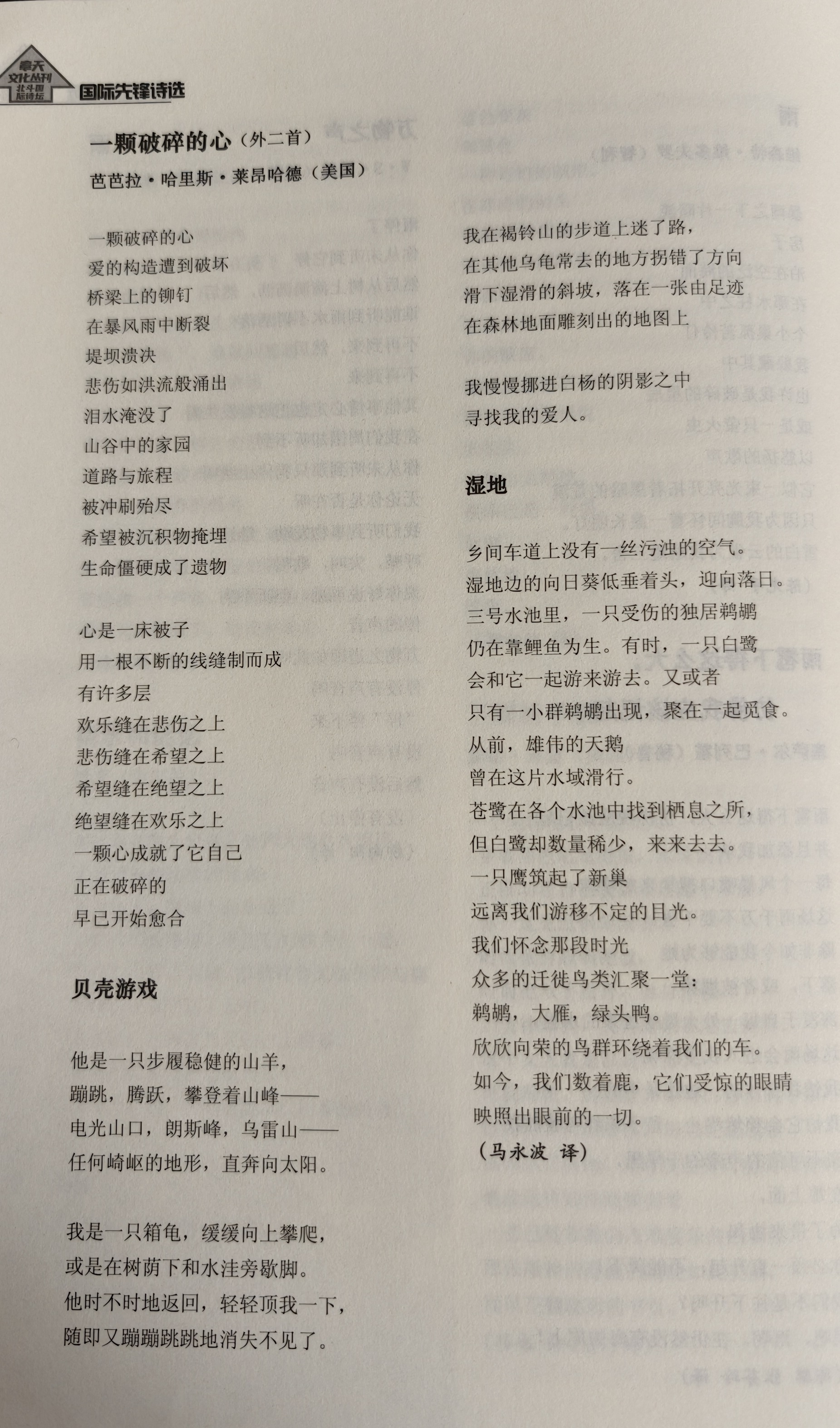 Some of My Poems Are Published in Chinese by Yongbo Ma